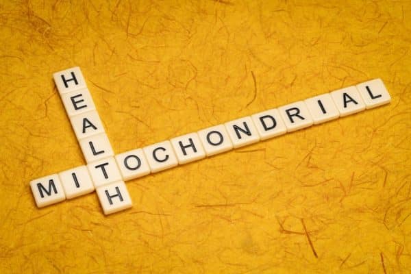 Mitochondienmedizin in Köln, Ihre Praxis für individuelle Diagnostik und Therapie